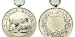 Medaglia 1908 Primo Premio Mostra Bovina San Arcangelo opus S. Johnson.